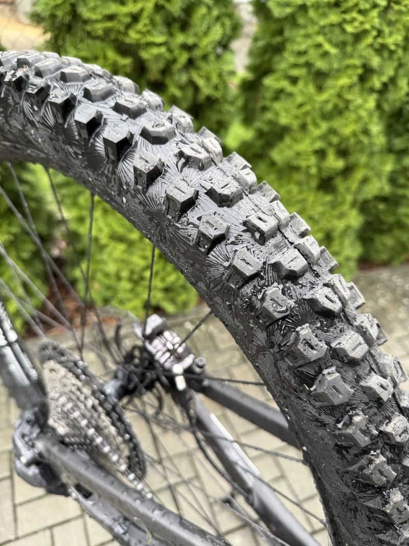 Canyon Strive cfr underdog 2024