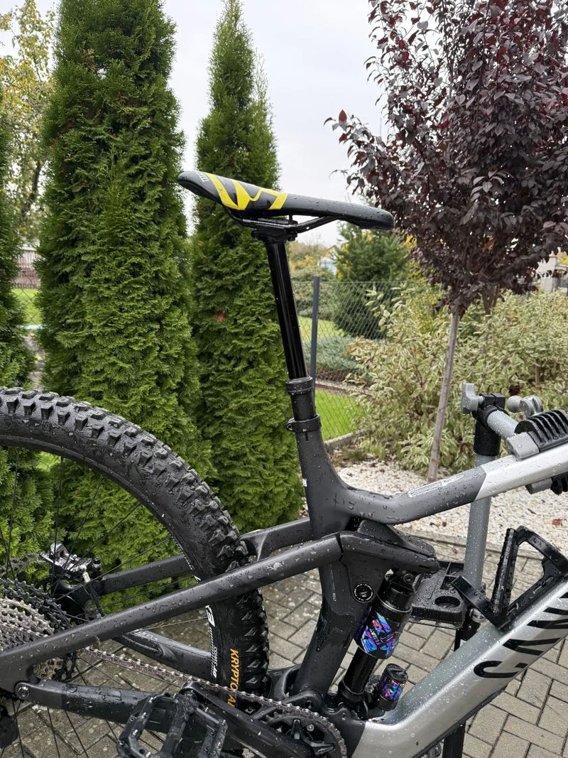 Canyon Strive cfr underdog 2024