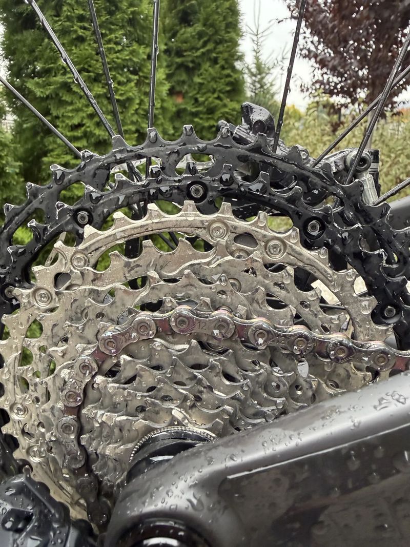 Canyon Strive cfr underdog 2024