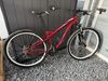 Specialized dámské, rám 17, kola 29, sleva při rychlém jednání 