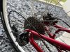 Specialized dámské, rám 17, kola 29, sleva při rychlém jednání 