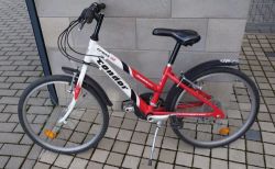 Condor cross 22