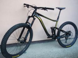 Enduro Giant Reign 2 29"