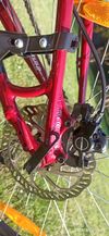 Specialized MYKA