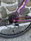 Reta Falcon