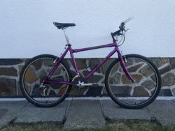 Reta Falcon