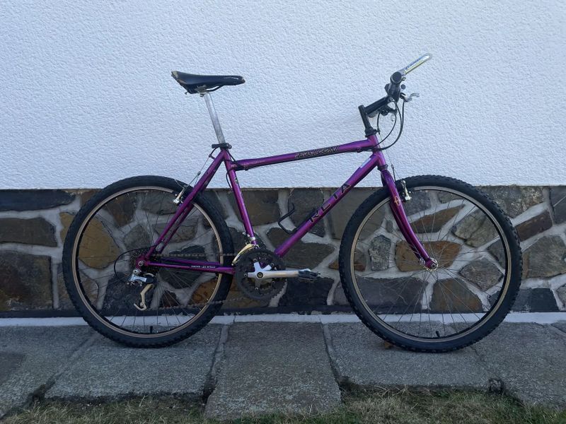 Reta Falcon