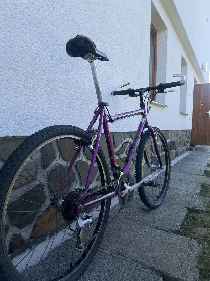 Reta Falcon