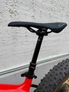 carbon fatbike Canyon DUDE CF9 CUSTOM - black / red M
