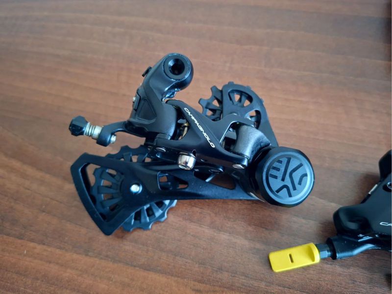 Campagnolo Ekar DB 1x13s