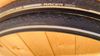Schwalbe
