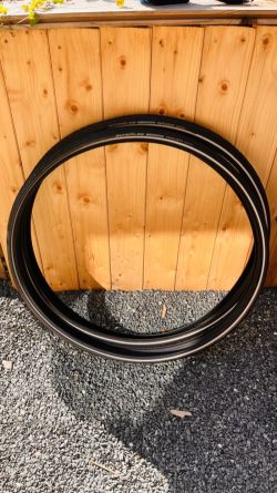 Schwalbe