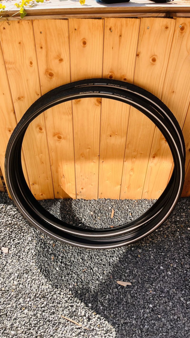 Schwalbe