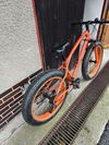 Panther Pantero MX1 fat bike 2019