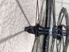 Roval 29er