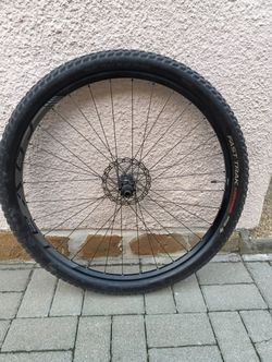 Roval 29er