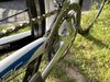 Silniční kolo Specialized Tarmac Comp Ultegra 2012 vel. 54 (170-180cm)