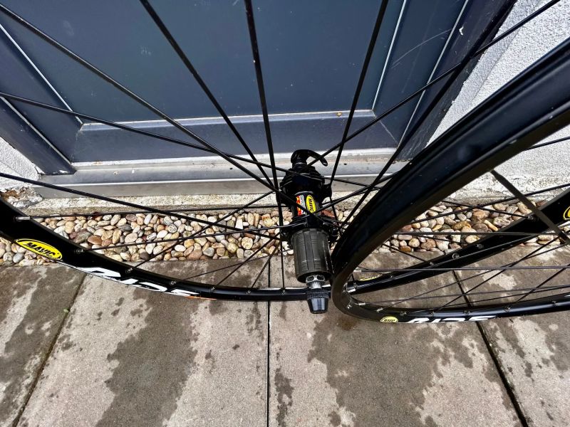 Kola Mavic Crossride Disc 26”