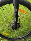 Canyon Pathlite