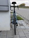 Lapierre Xelius SL 5.0