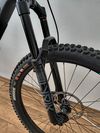 Santa Cruz Bronson