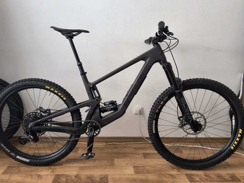 Santa Cruz Bronson