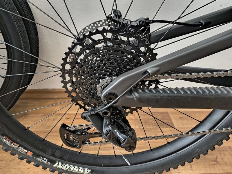 Santa Cruz Bronson