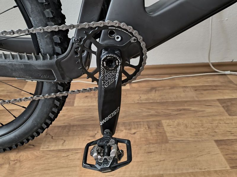 Santa Cruz Bronson