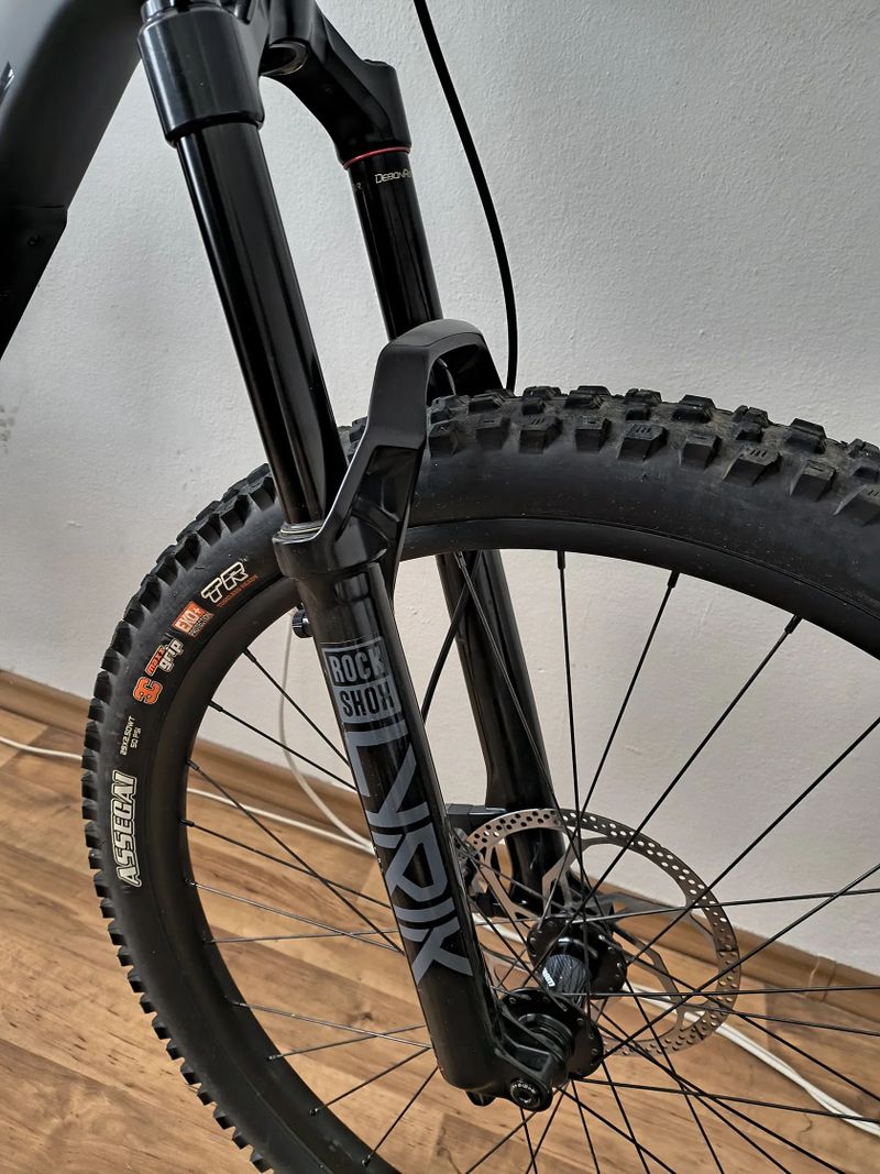 Santa Cruz Bronson