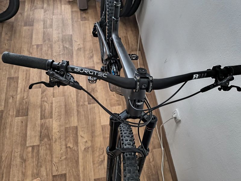 Santa Cruz Bronson