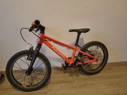 Beany 16"