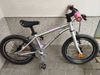 Early Rider