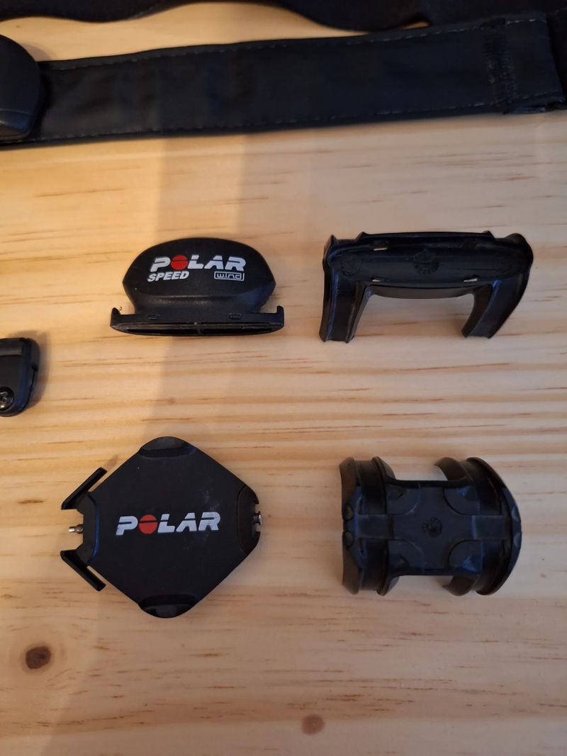 Polar 