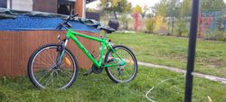 CTM Hardtail