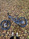 Yt capra