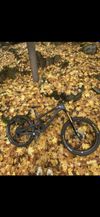 Yt capra