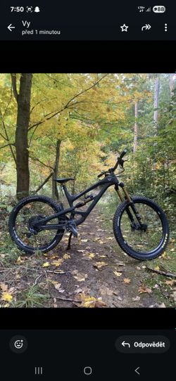 Yt capra