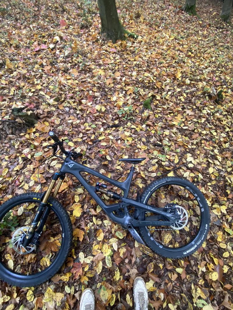 Yt capra