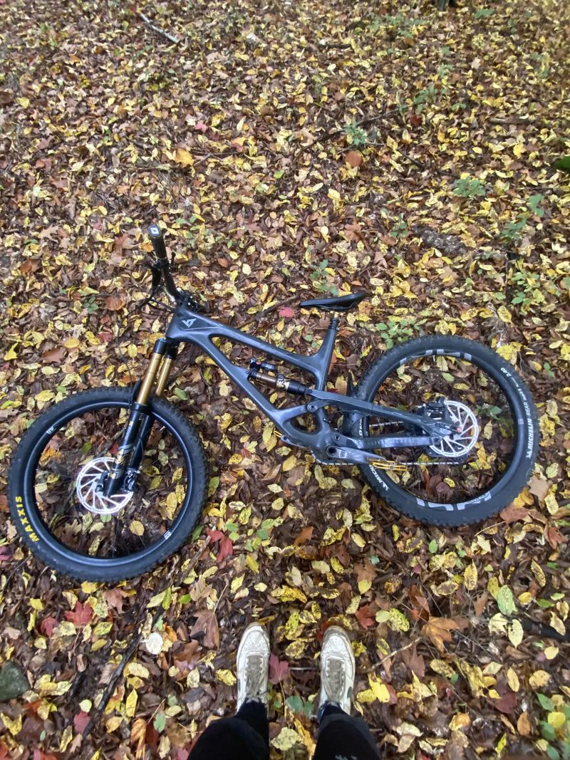 Yt capra