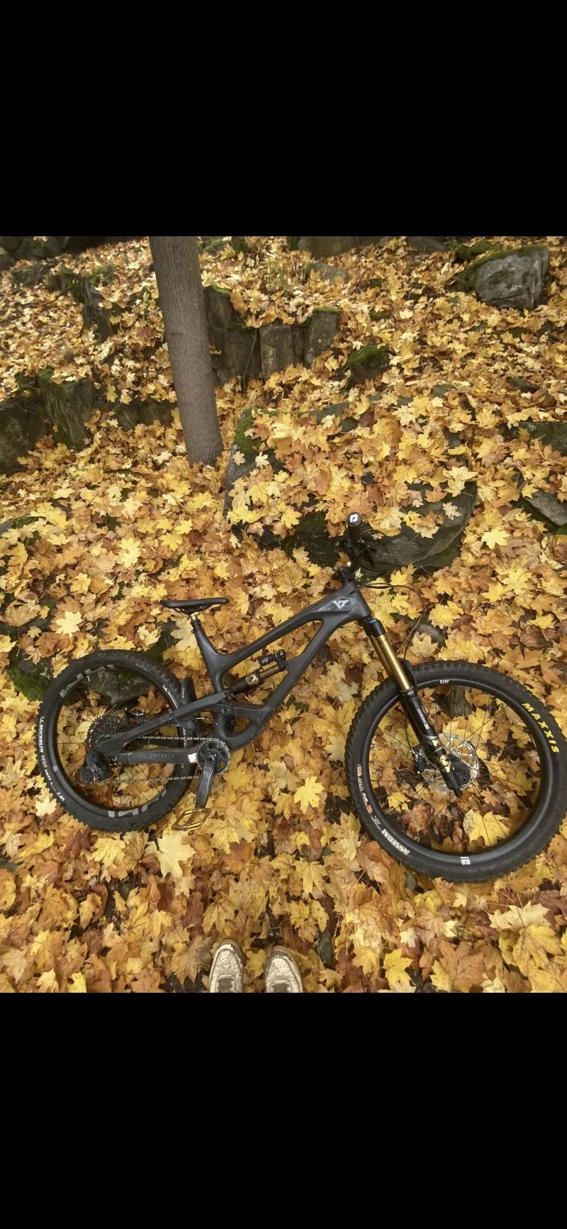 Yt capra