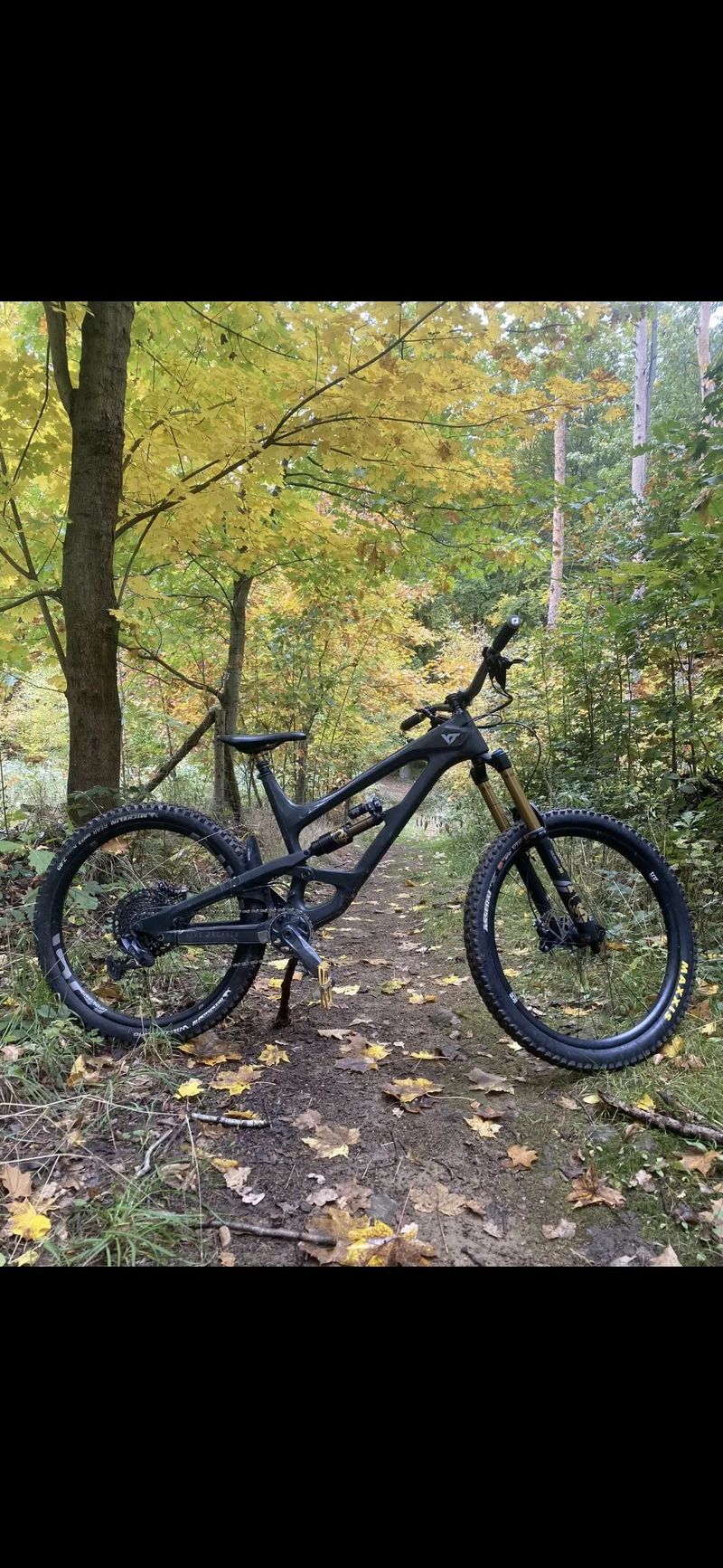 Yt capra