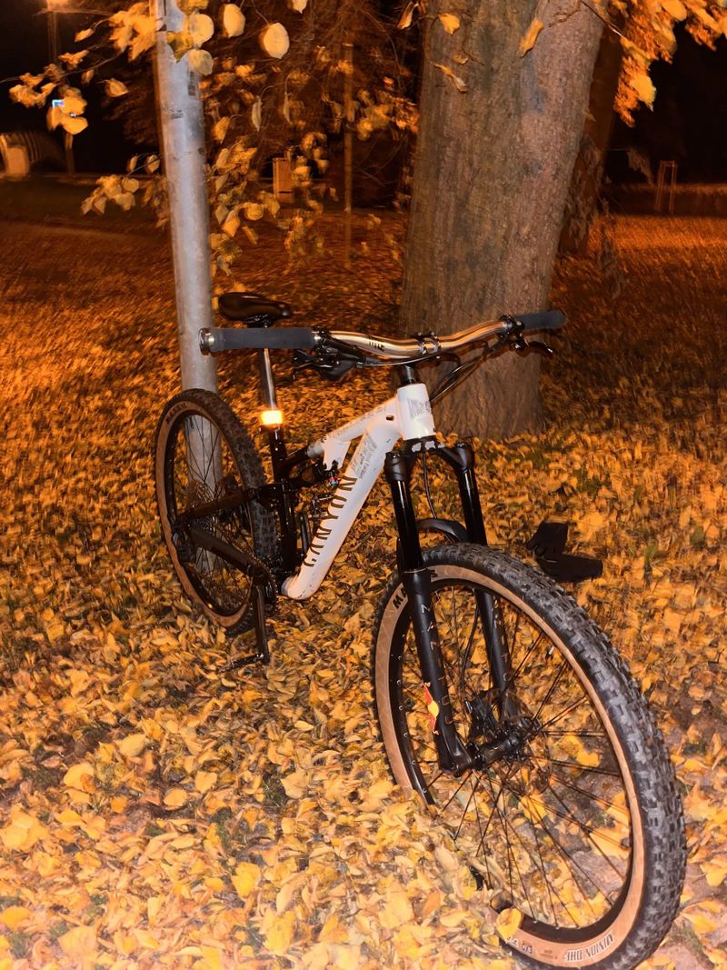 Canyon Neuron young hero