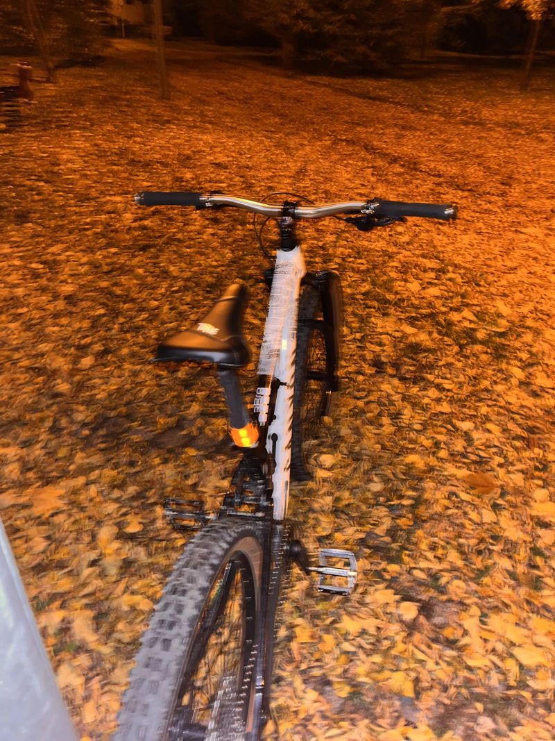 Canyon Neuron young hero