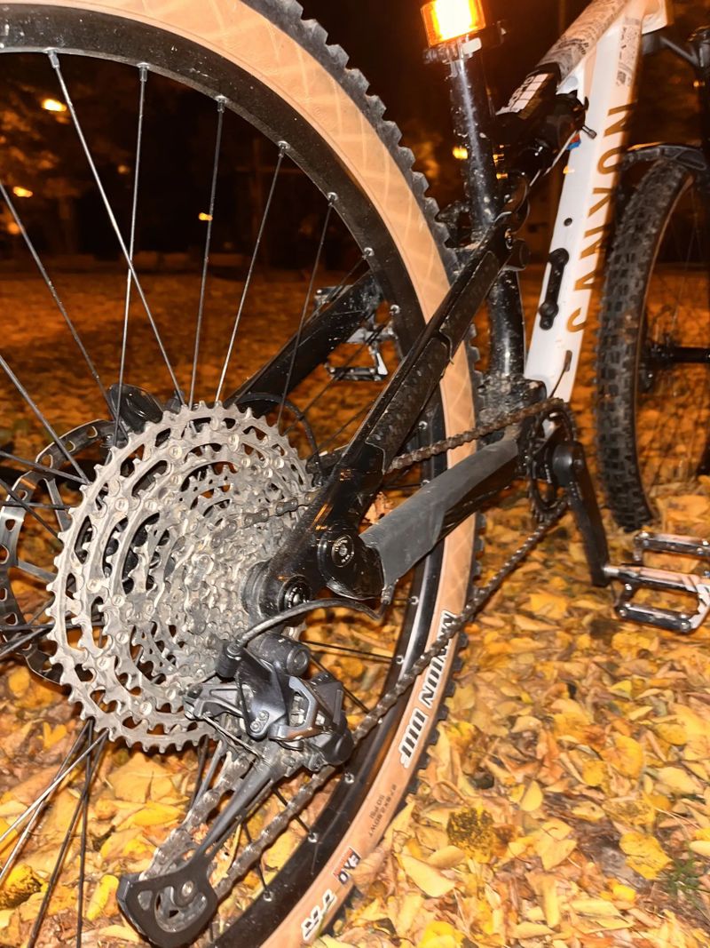 Canyon Neuron young hero