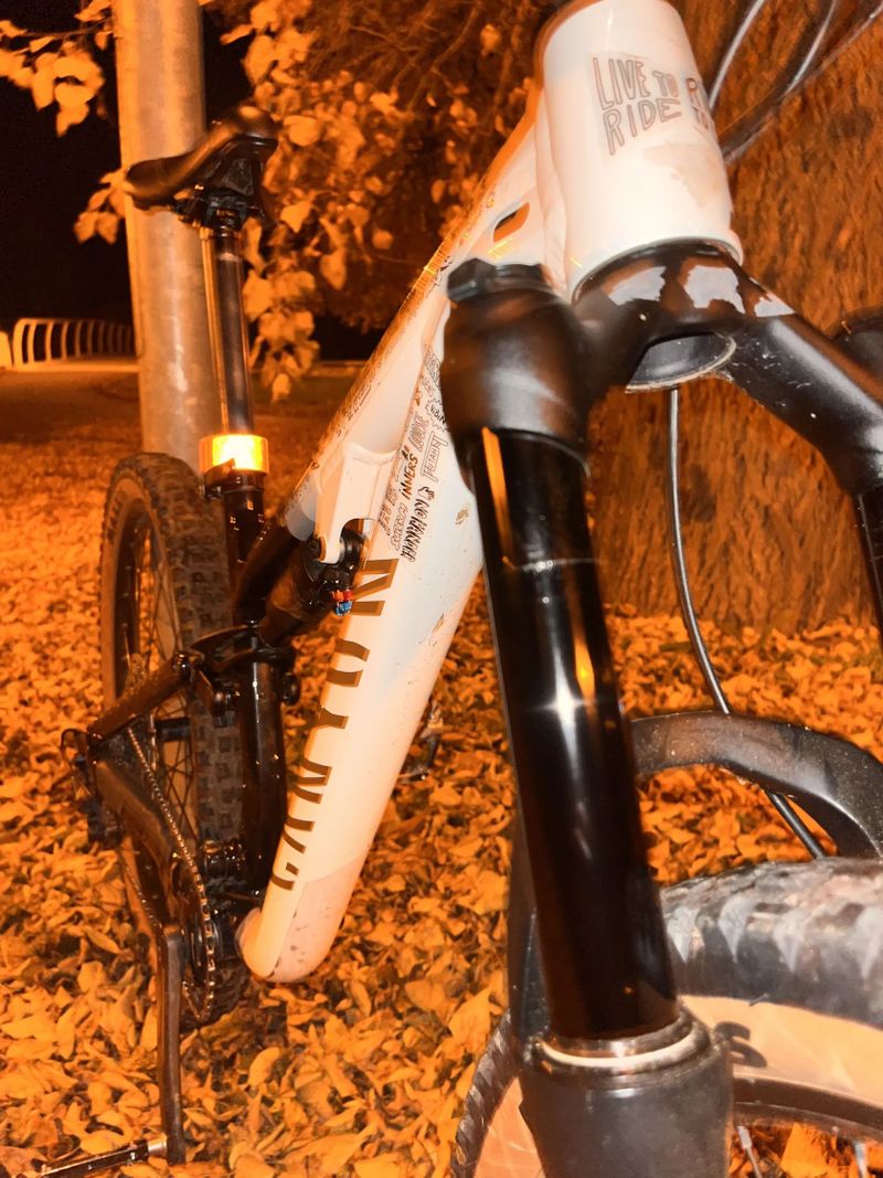 Canyon Neuron young hero