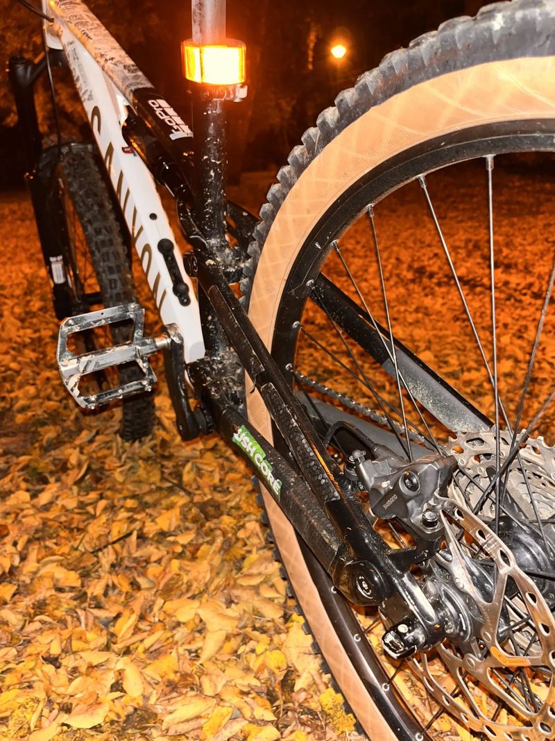 Canyon Neuron young hero