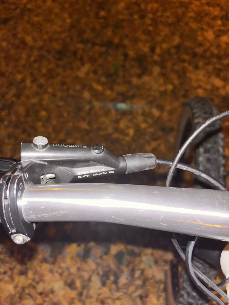 Canyon Neuron young hero