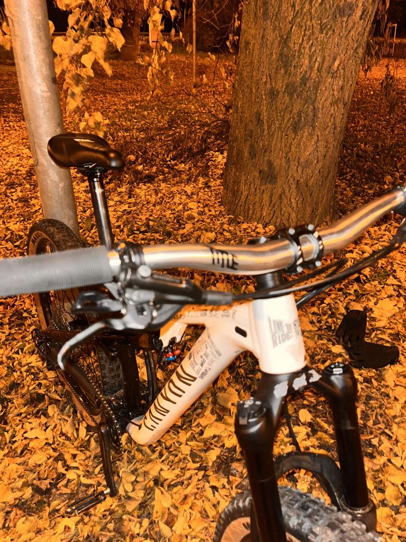 Canyon Neuron young hero