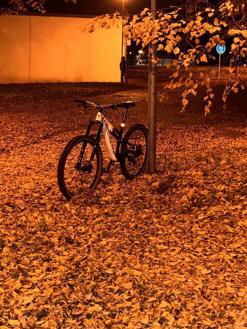 Canyon Neuron young hero