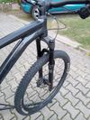 Giant Stance 29